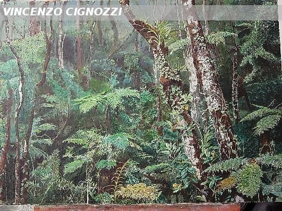 Rain Forest