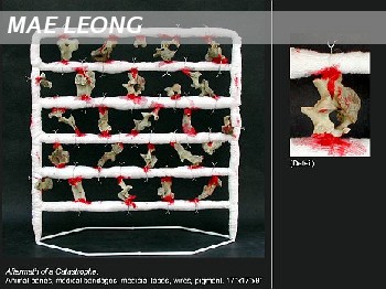 Aftermath of a Catastrophe 