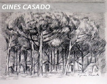 CASITA-PINOS