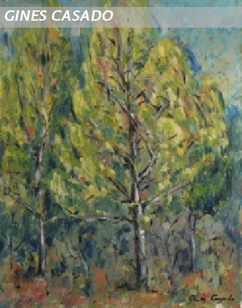 PINO BOSQUE