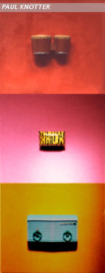 BongoTigerdish,Radio