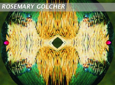 Composition of feathers 3