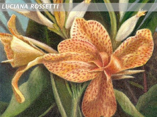 fantasia della natura 