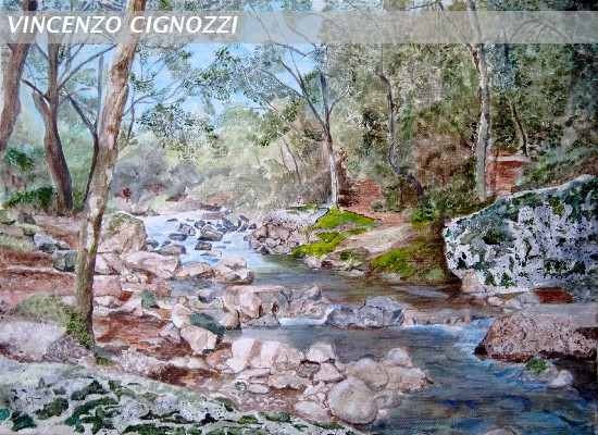 A stream in the wood